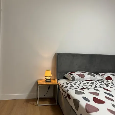 Le 9 - Basel Airport Apartment Saint-Louis (Haut-Rhin)